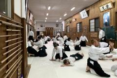 04_Aikido-Shingu-Dojo-Training